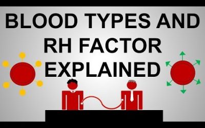 Blood Group & Rh Factor